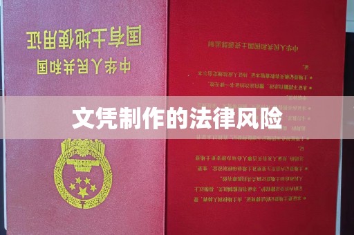 楚雄文凭制作的法律风险